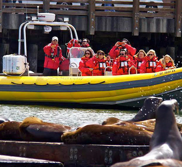 People in red jackets and life vests on yellow boat looking at sea lions