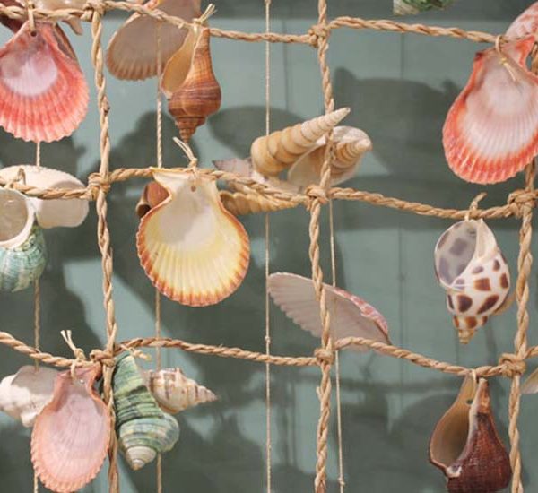 Various bright colored sea shells