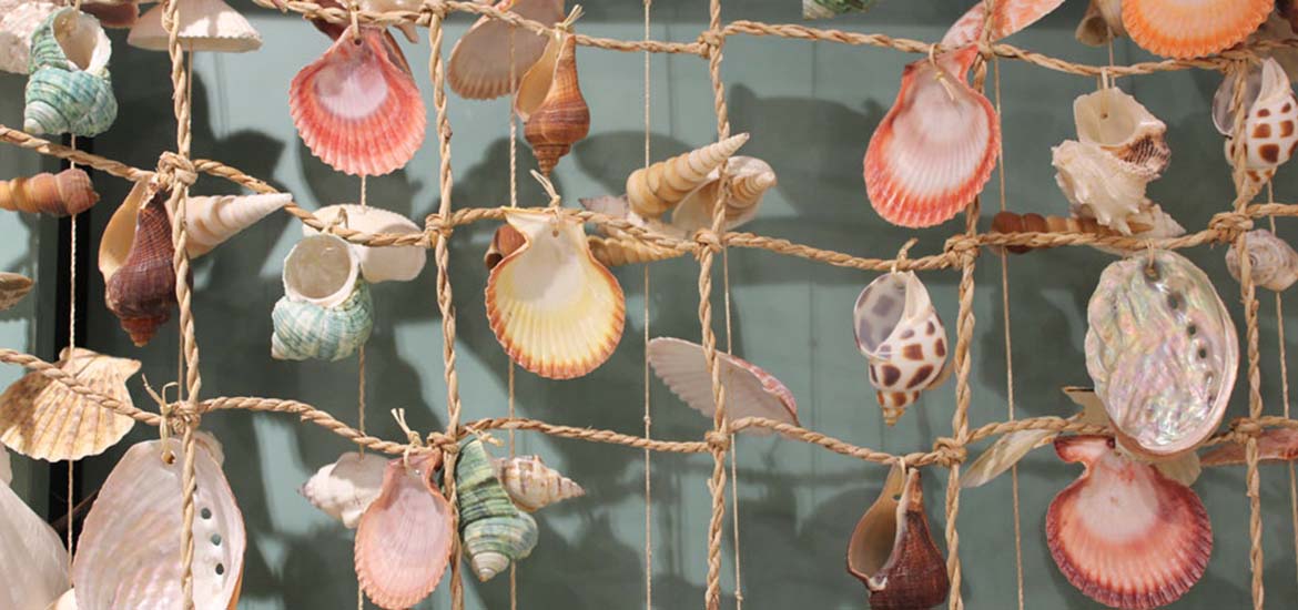 Various bright colored sea shells