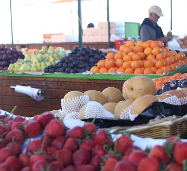 Fresh fruit at Vlahos Fruit Orchard